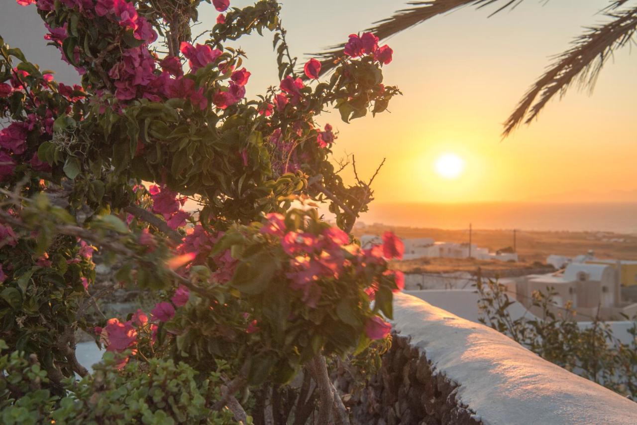 Aqua Serenity Luxury Suites Santorini Foinikiá 외부 사진